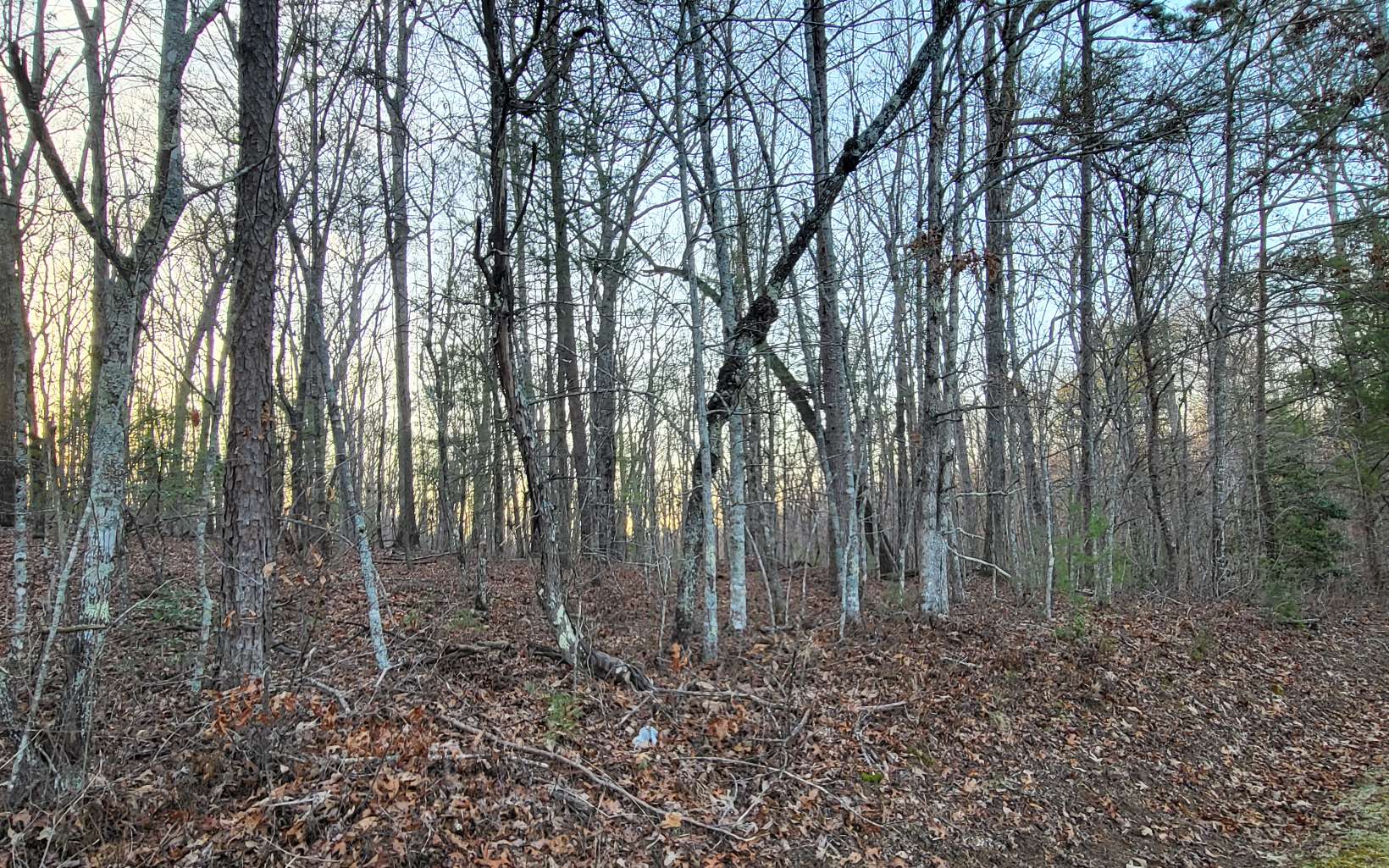 45ACS New Hope Road