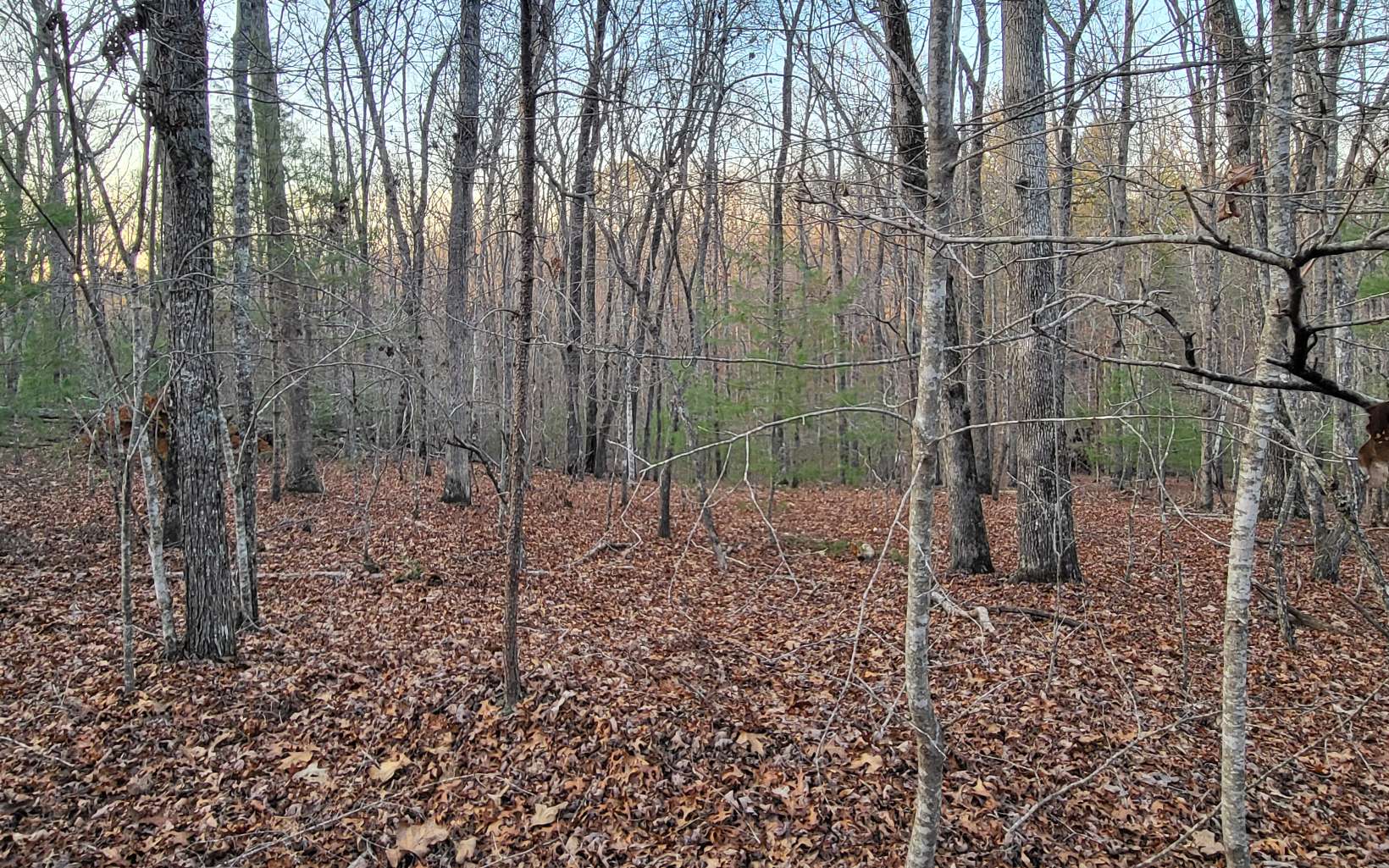 45ACS New Hope Road