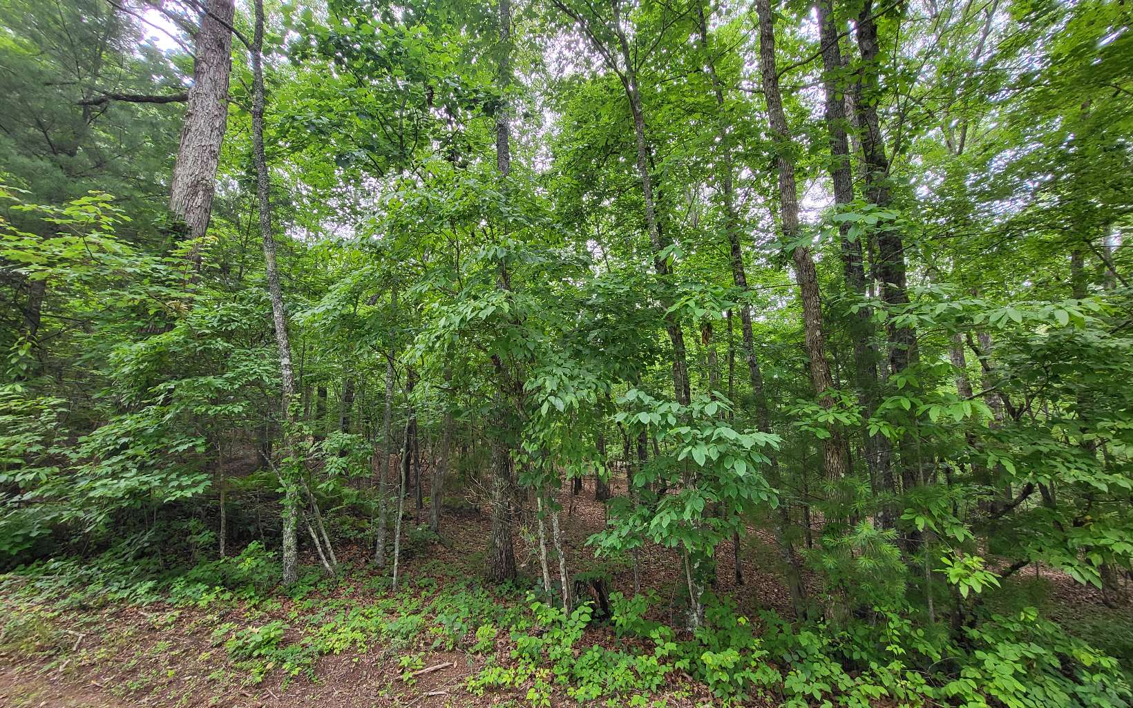 45ACS New Hope Road
