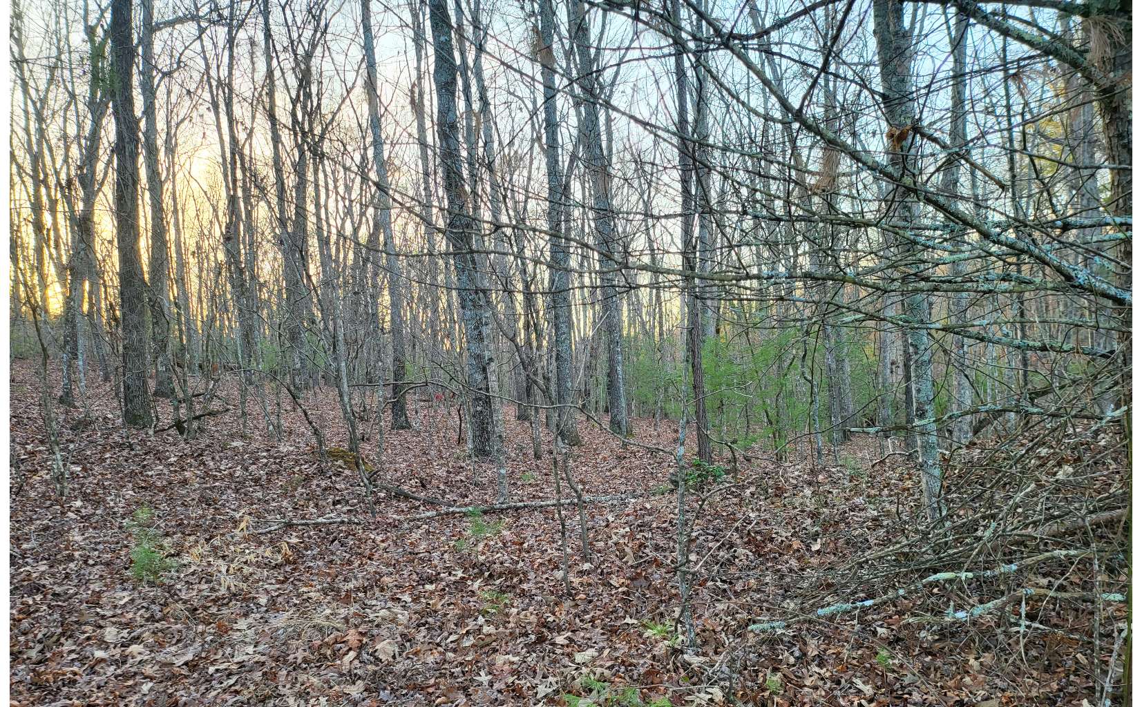 45ACS New Hope Road