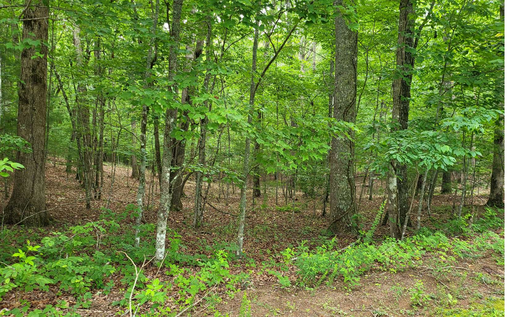45ACS New Hope Road