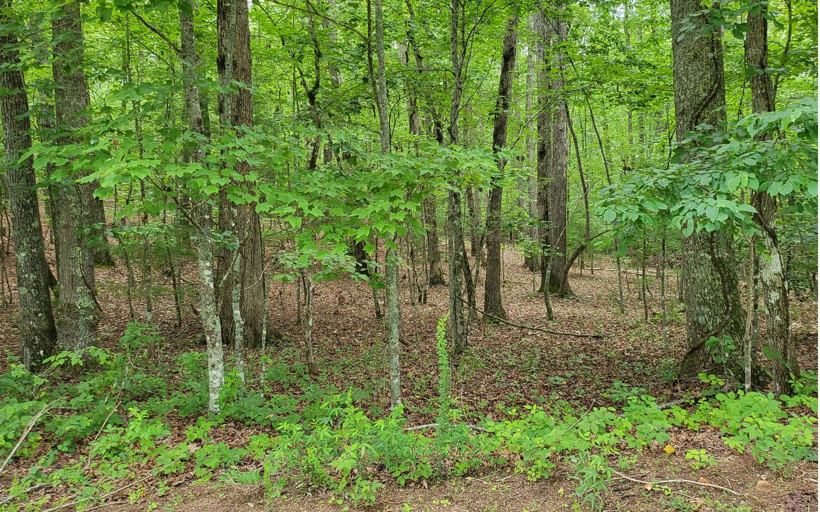 45ACS New Hope Road