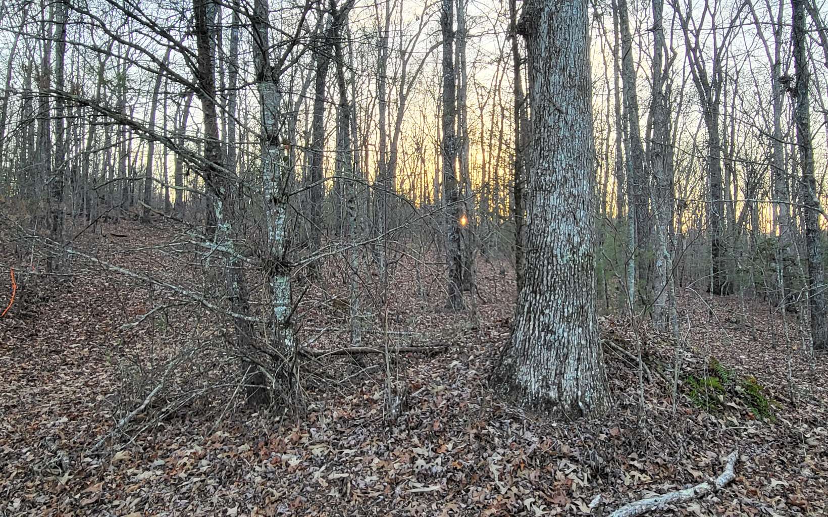45ACS New Hope Road