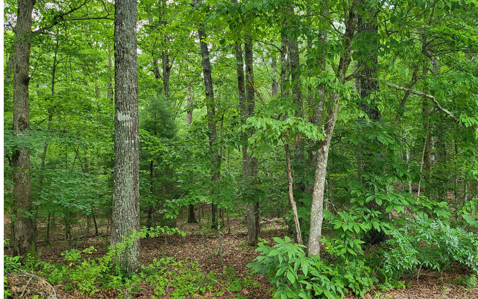 45ACS New Hope Road