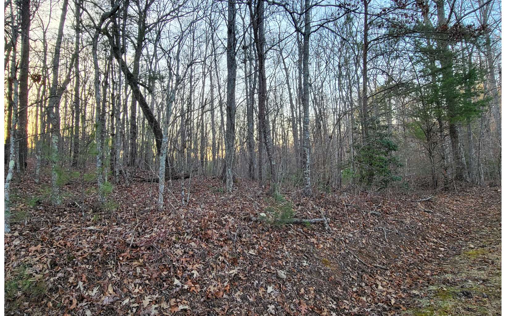 45ACS New Hope Road