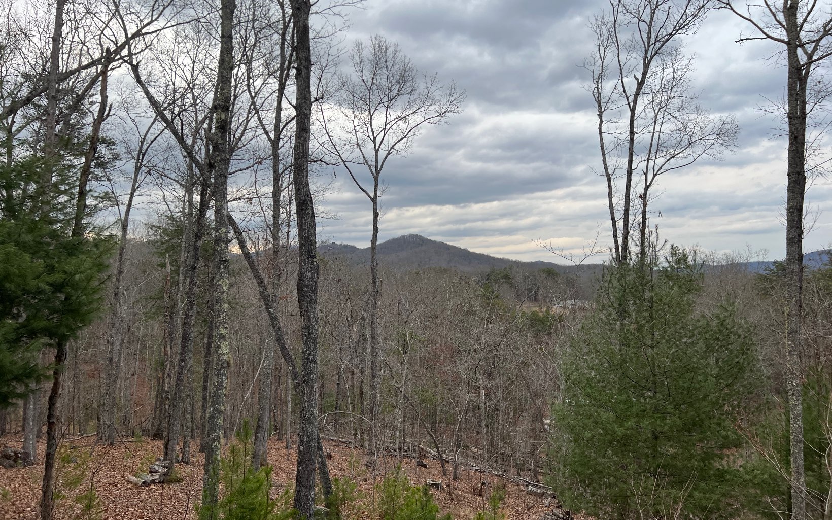 225 Stuart View Drive