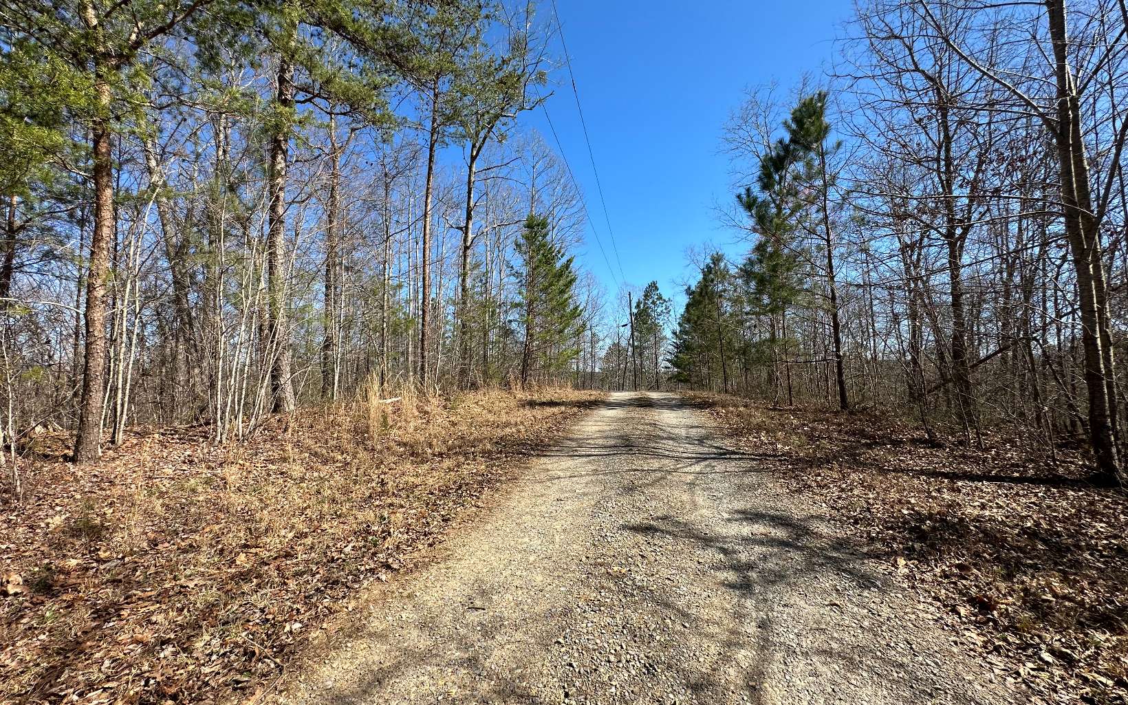 LT921 Aurora Lane
