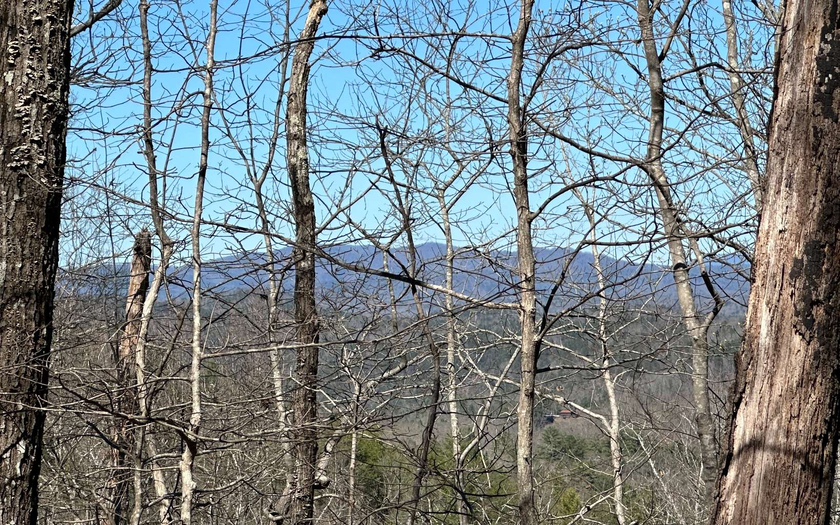 LT921 Aurora Lane