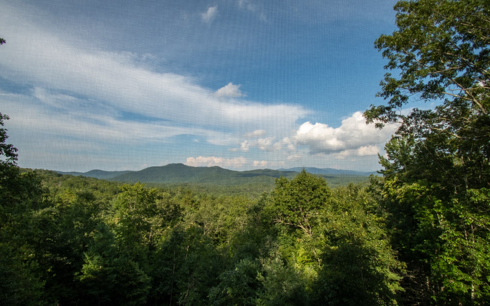 31 Little Creek Overlook Drive