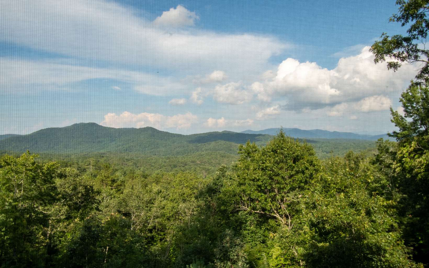 31 Little Creek Overlook Drive