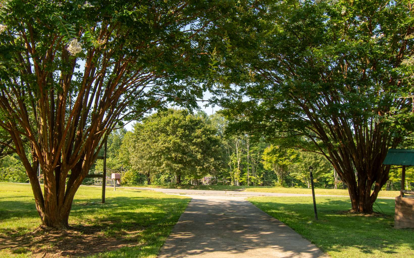 17795 Hwy 64w