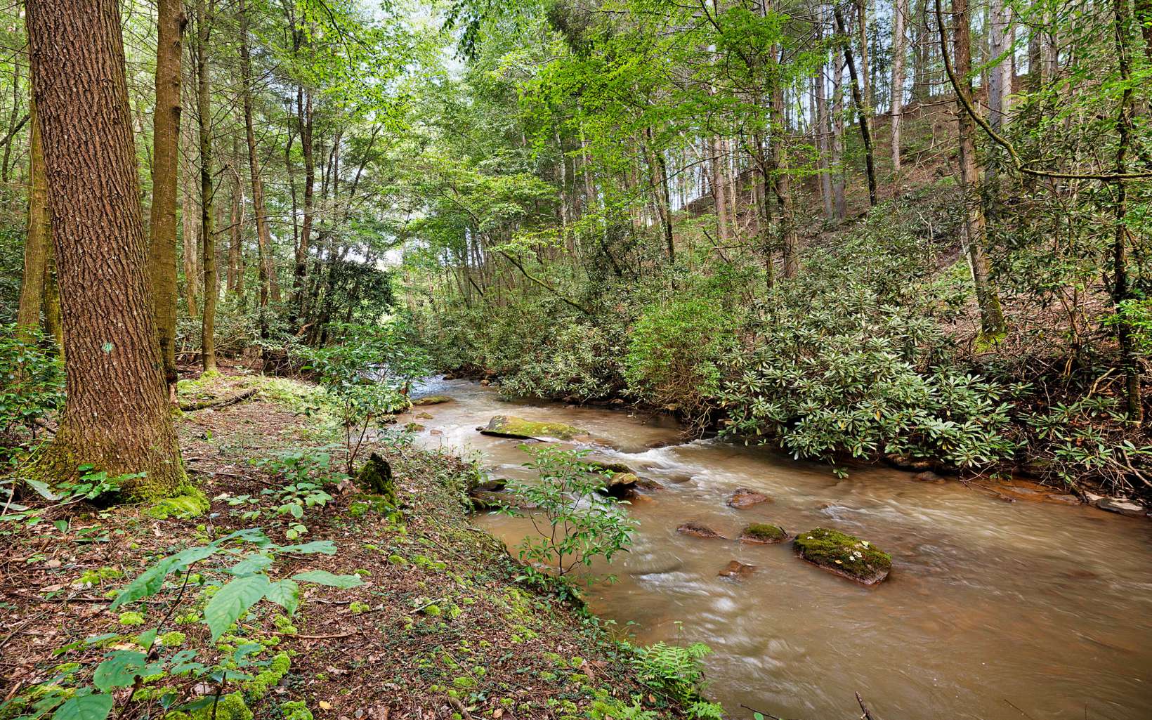 753 Carson Cove Road