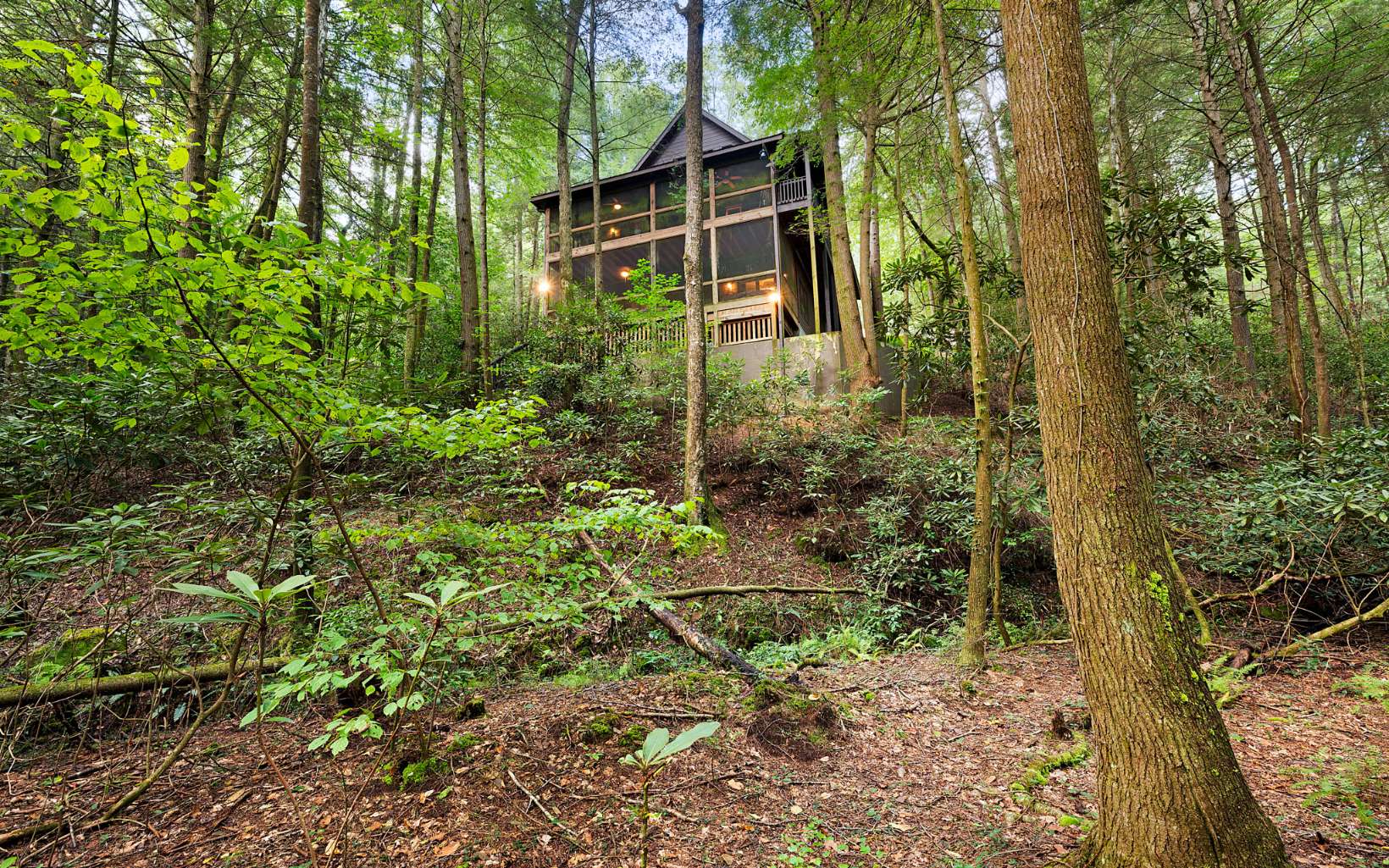 753 Carson Cove Road