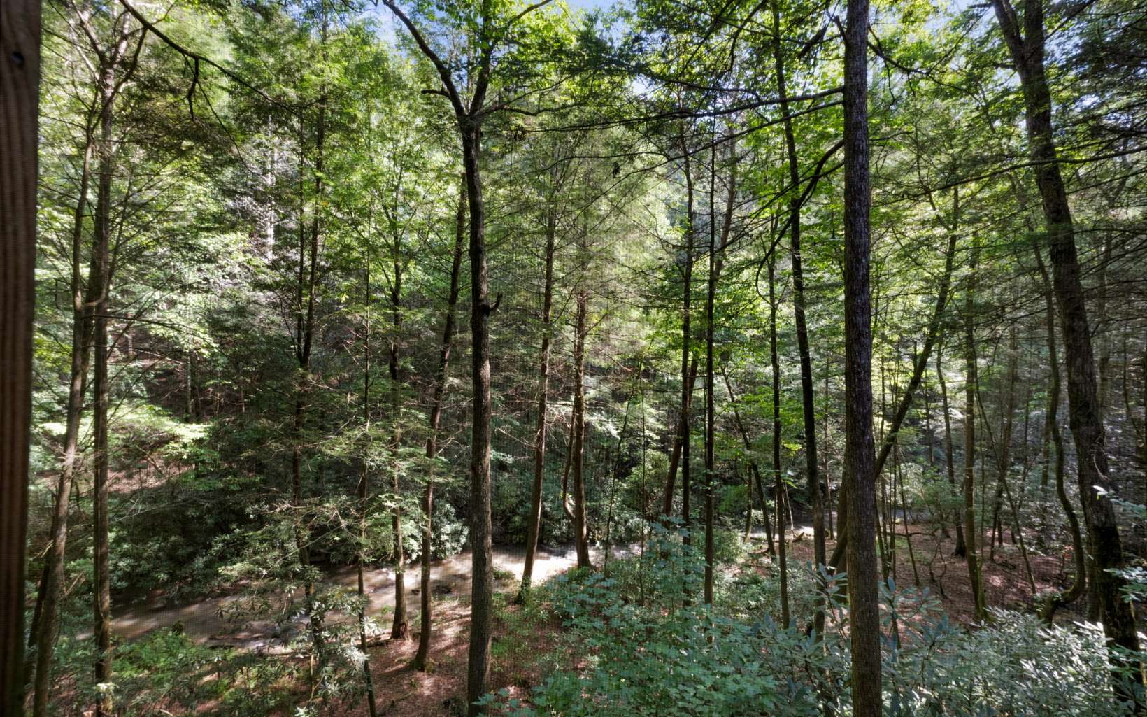 753 Carson Cove Road