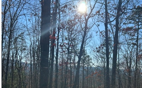 LT 12 Spring Ridge Trail