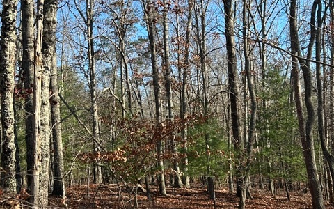 LT 12 Spring Ridge Trail