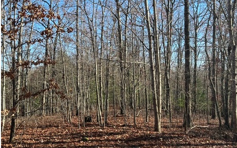 LT 12 Spring Ridge Trail