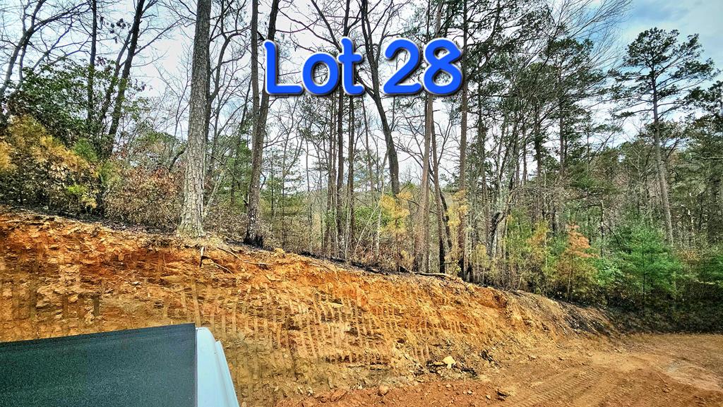 2.66 acs Sams Branch View
