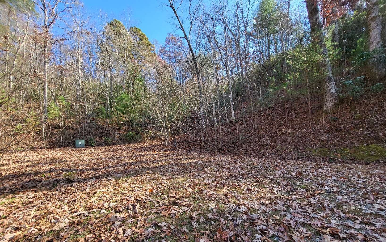 2.66 acs Sams Branch View