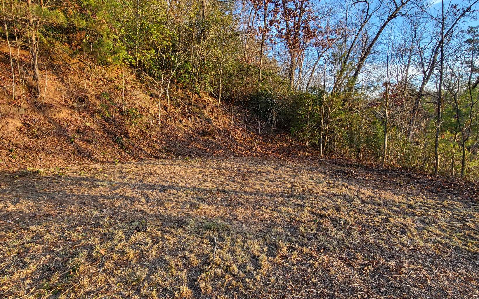 2.66 acs Sams Branch View