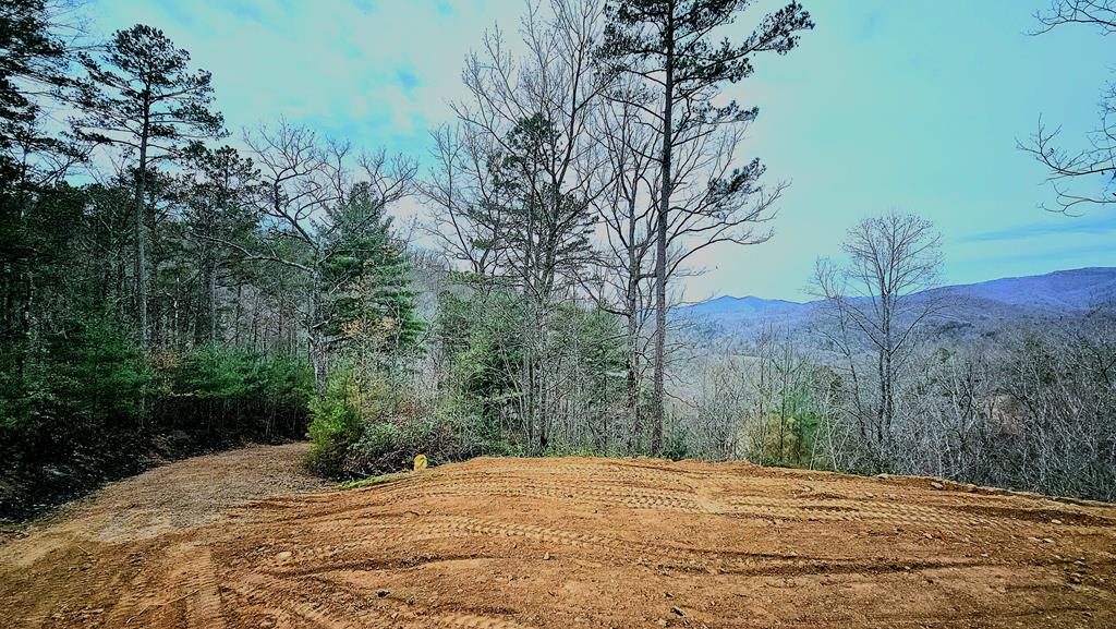 2.66 acs Sams Branch View