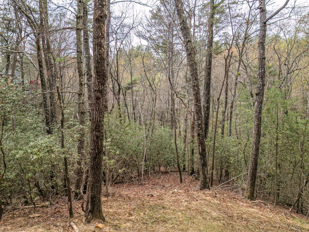 506 Pony Ghost Trail