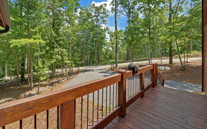 356 Mountain Trace