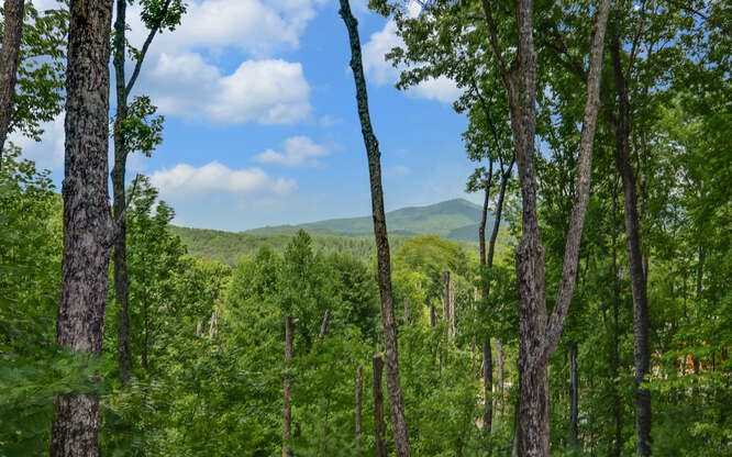356 Mountain Trace
