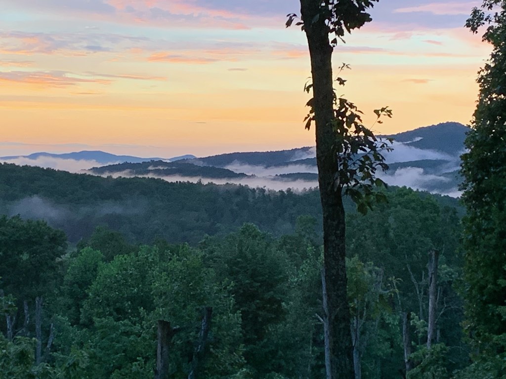 356 Mountain Trace