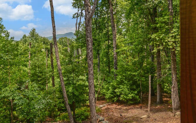 356 Mountain Trace
