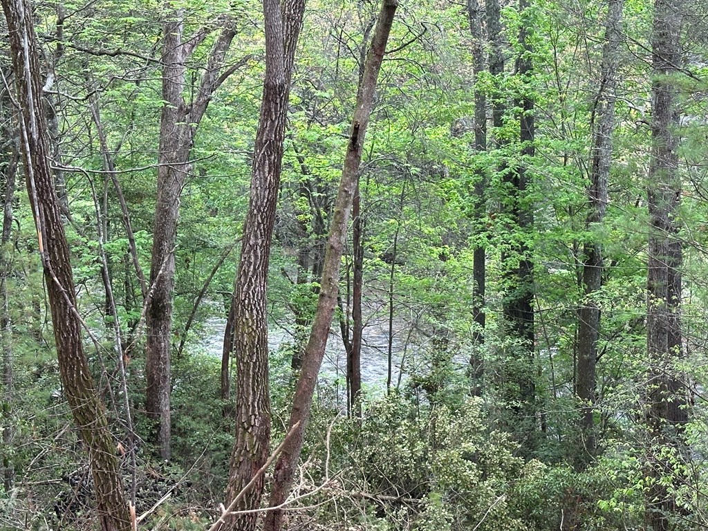 00 Riverside Lane