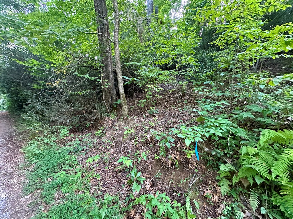 00 Riverside Lane