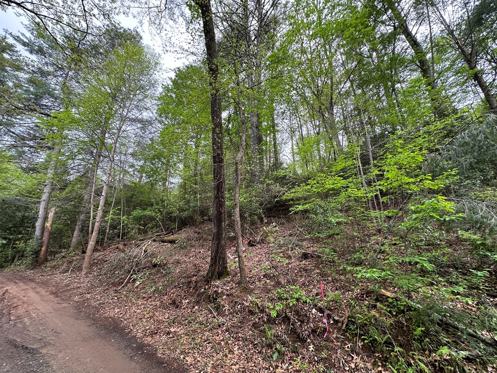 00 Riverside Lane