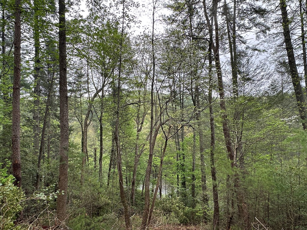 00 Riverside Lane