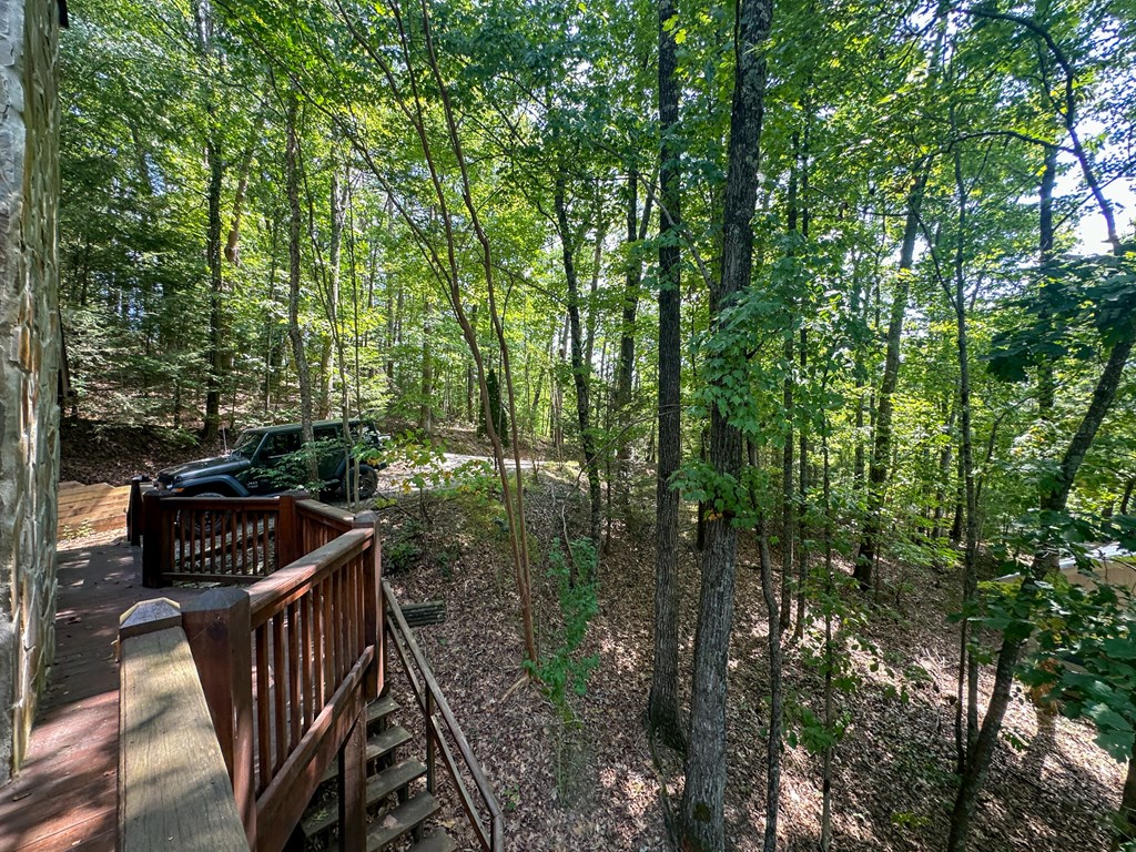 423 Laurel Creek Road