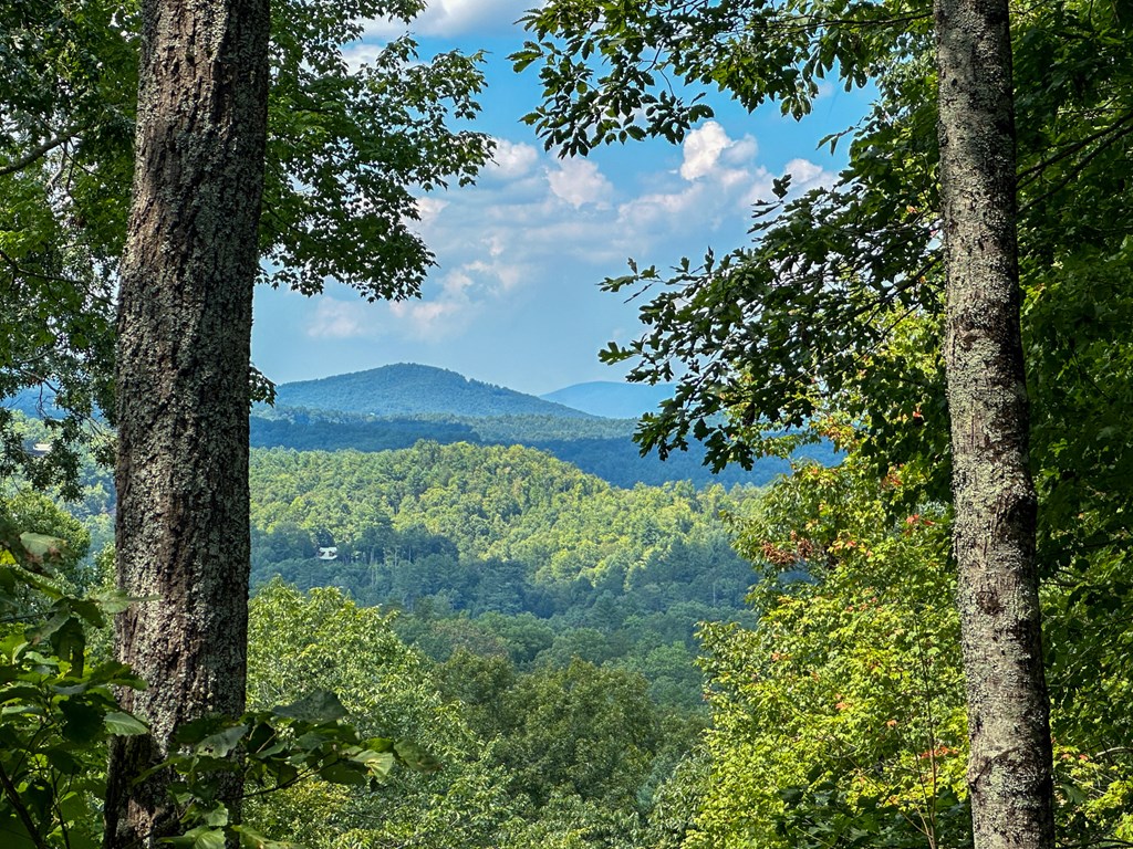 423 Laurel Creek Road