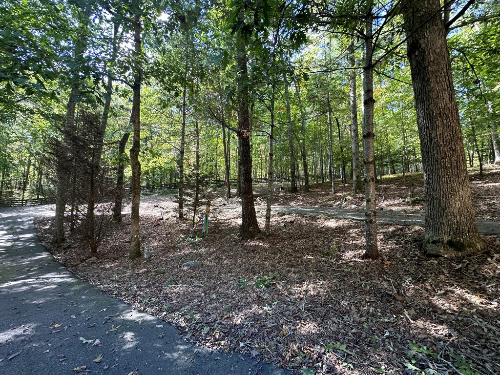 328 Sharp Top Circle