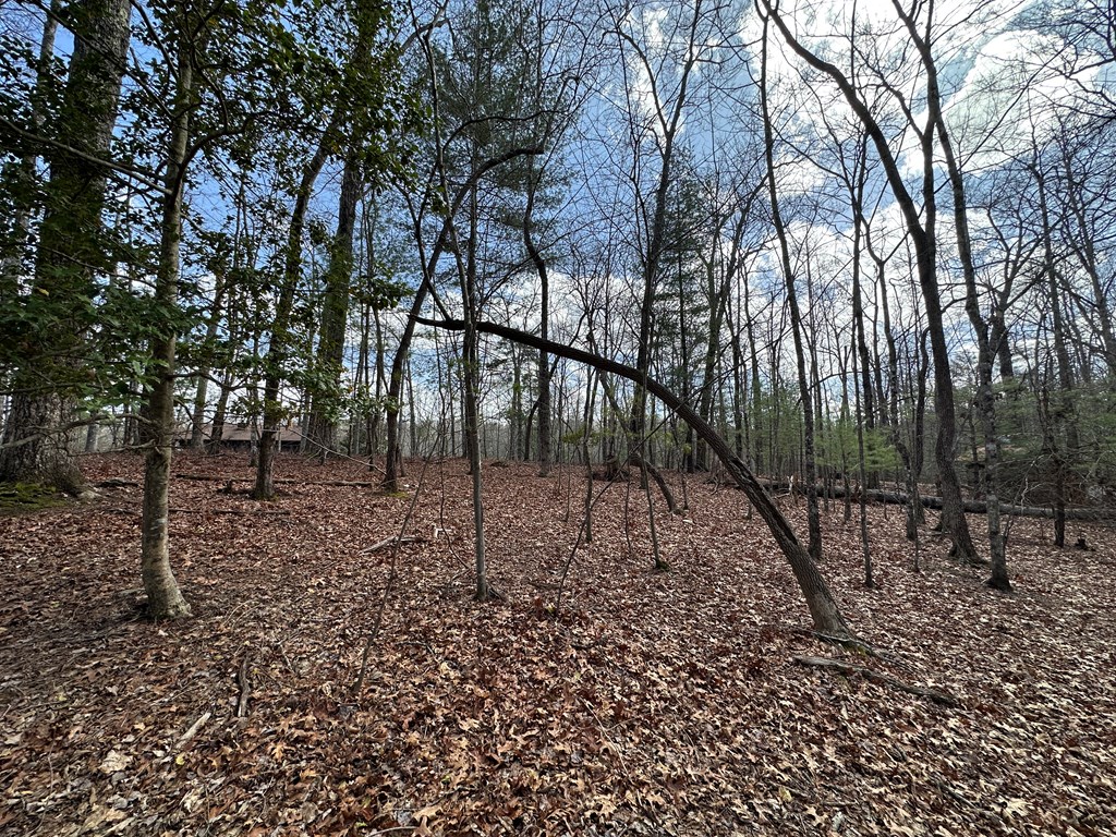 Lot 19 Black Oak Road