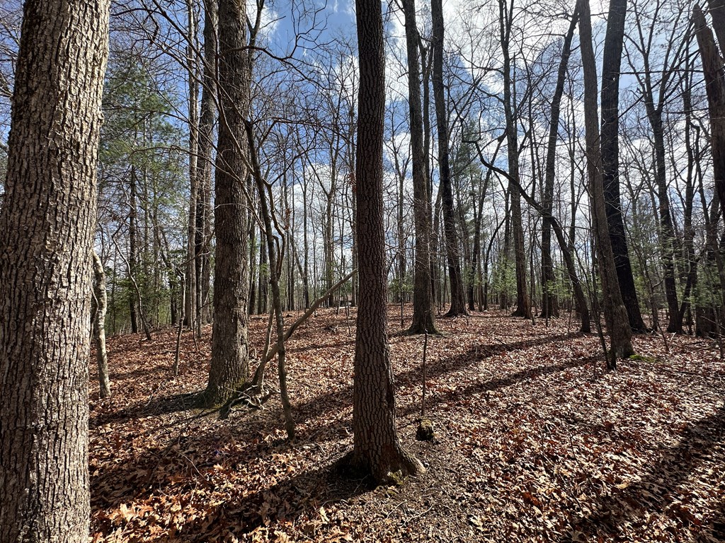 Lot 19 Black Oak Road