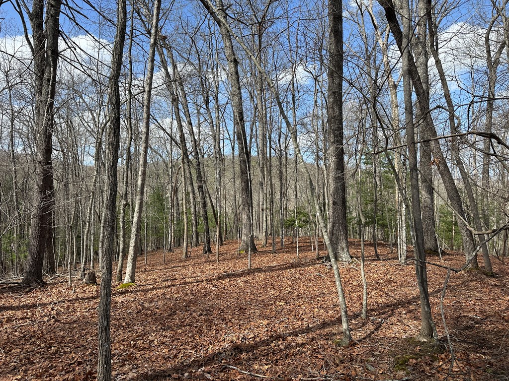Lot 19 Black Oak Road