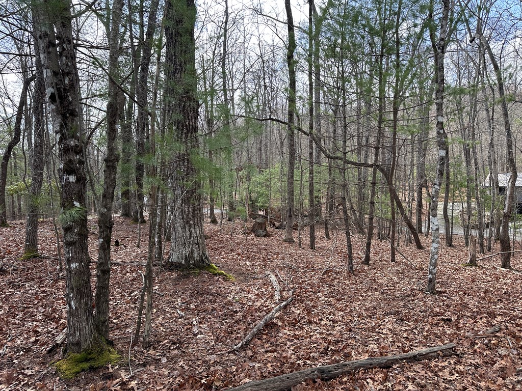 Lot 19 Black Oak Road