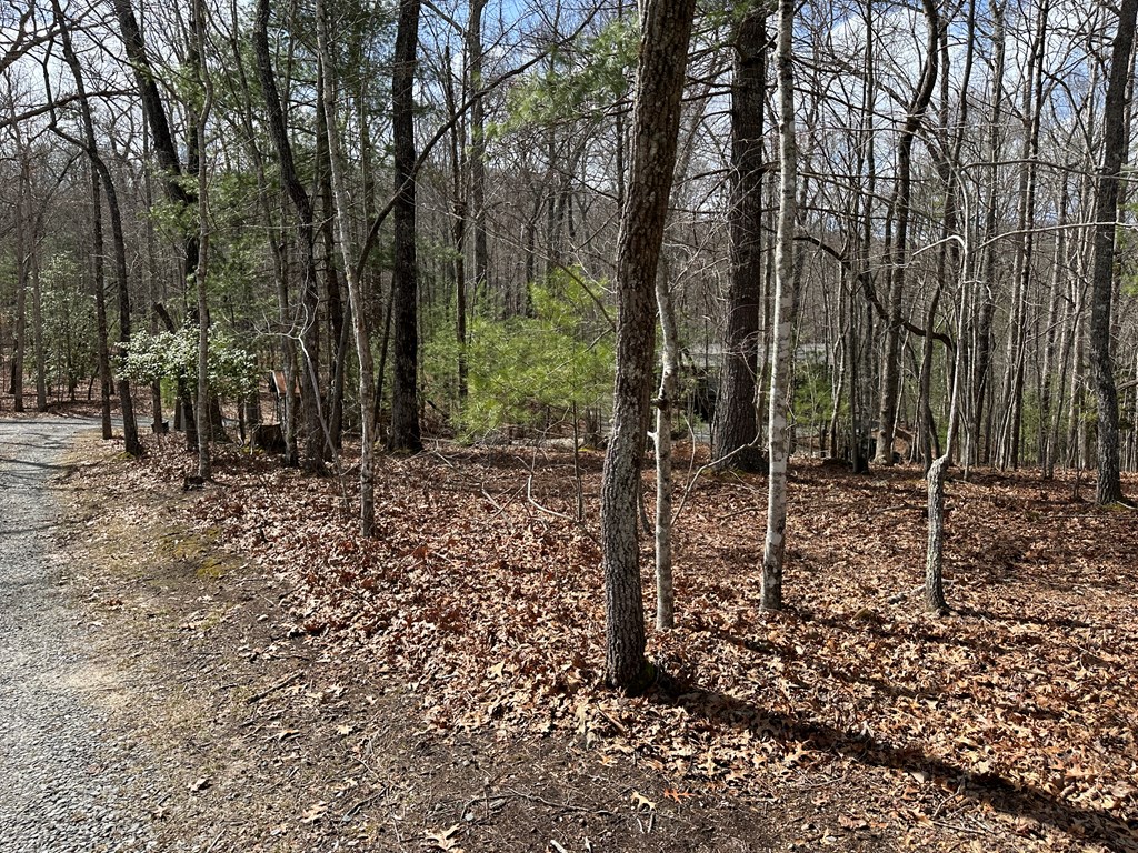 Lot 19 Black Oak Road