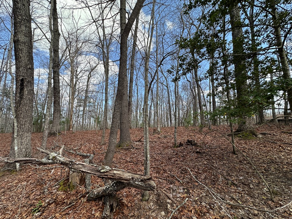 Lot 19 Black Oak Road