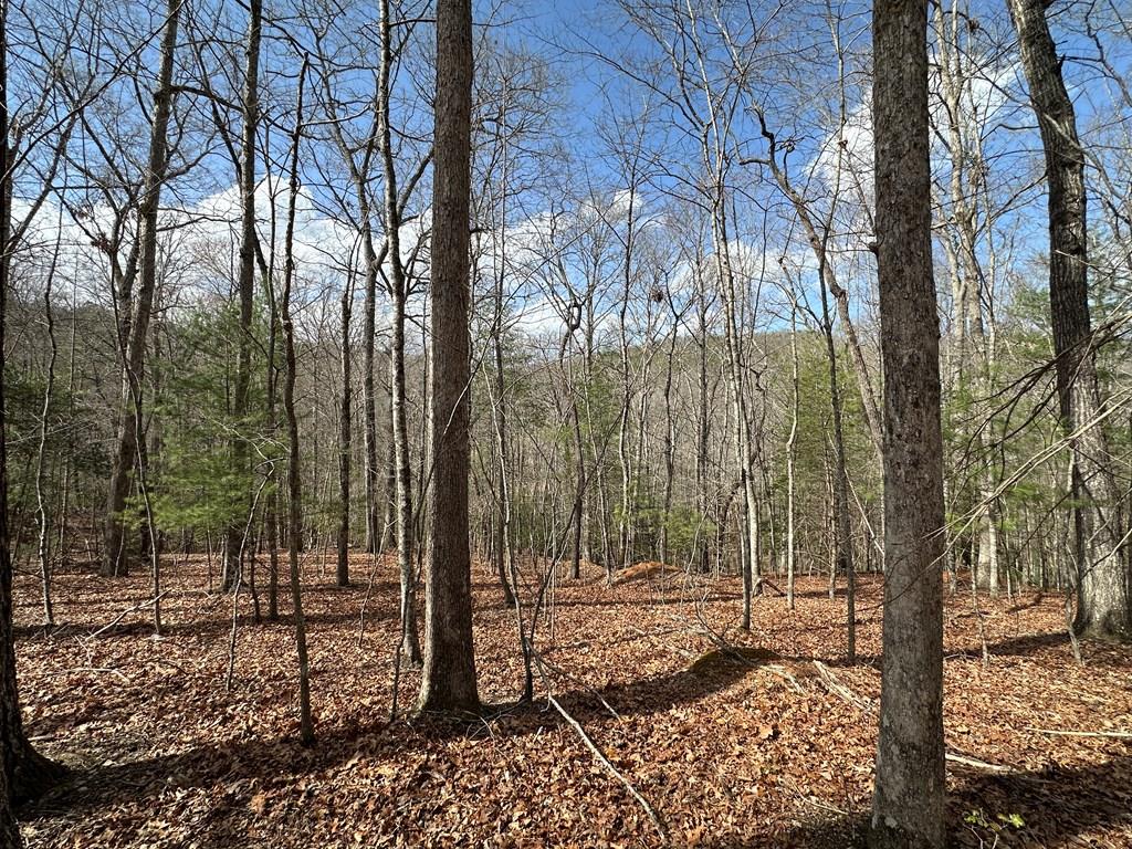 Lot 19 Black Oak Road