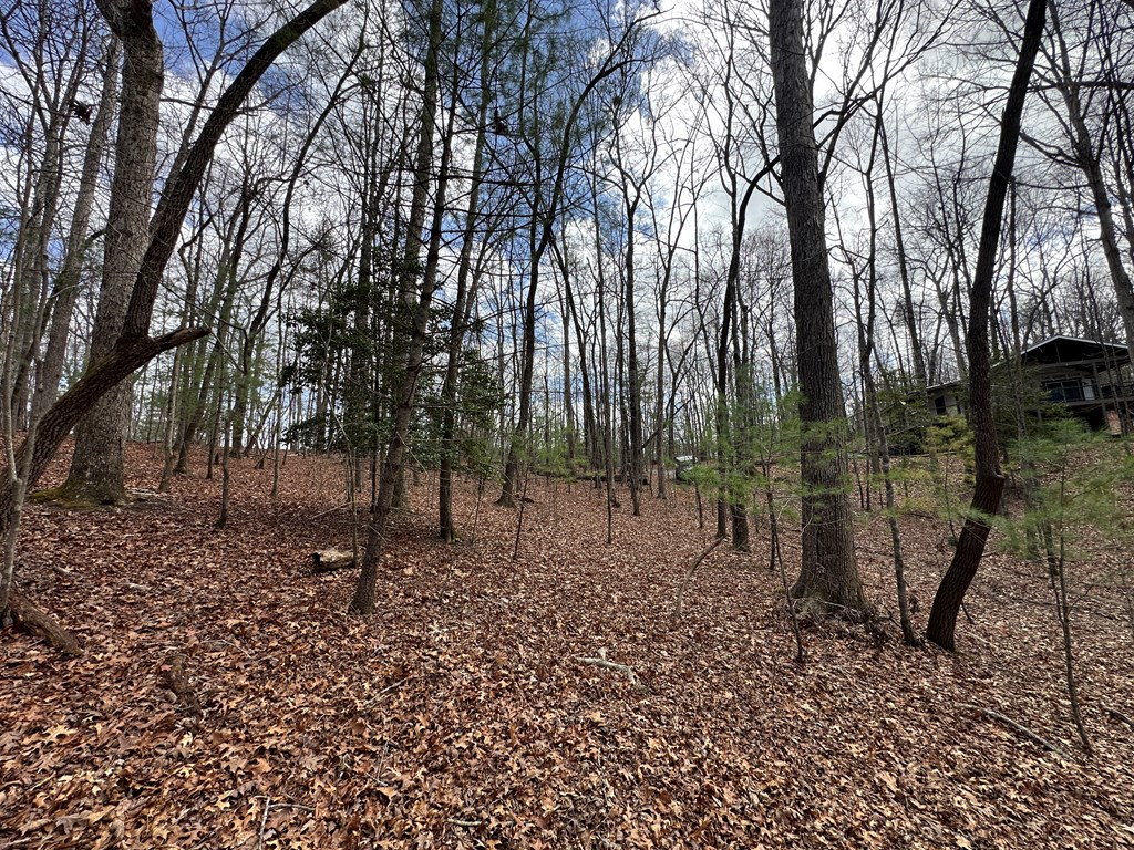 Lot 19 Black Oak Road