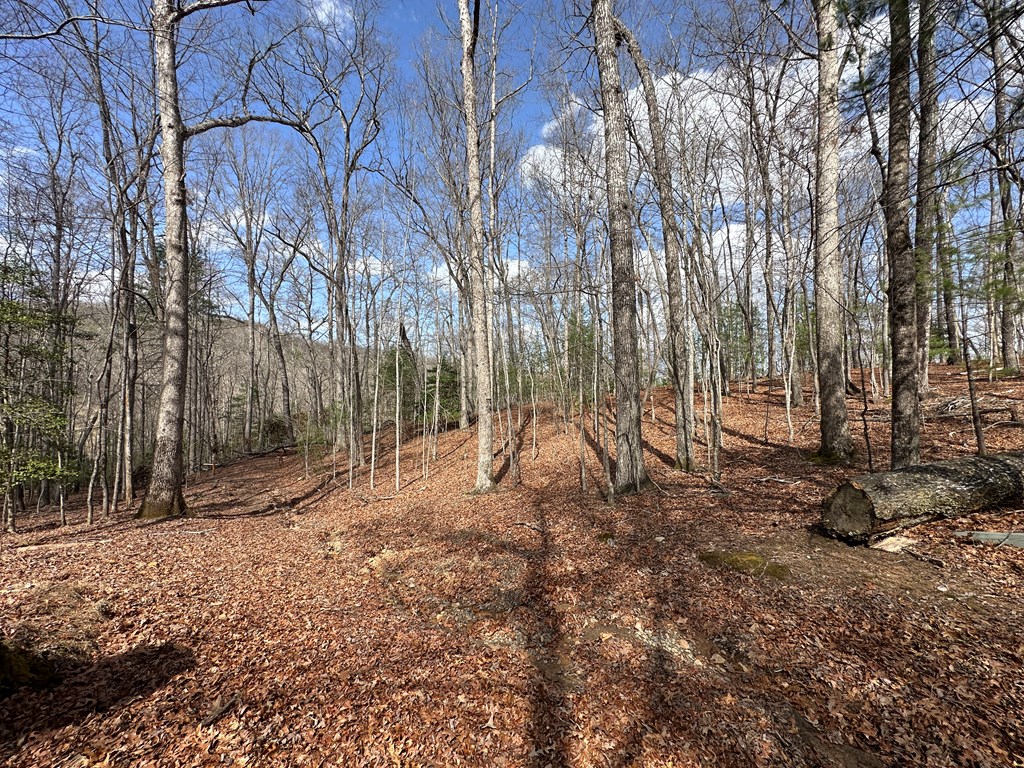 Lot 19 Black Oak Road
