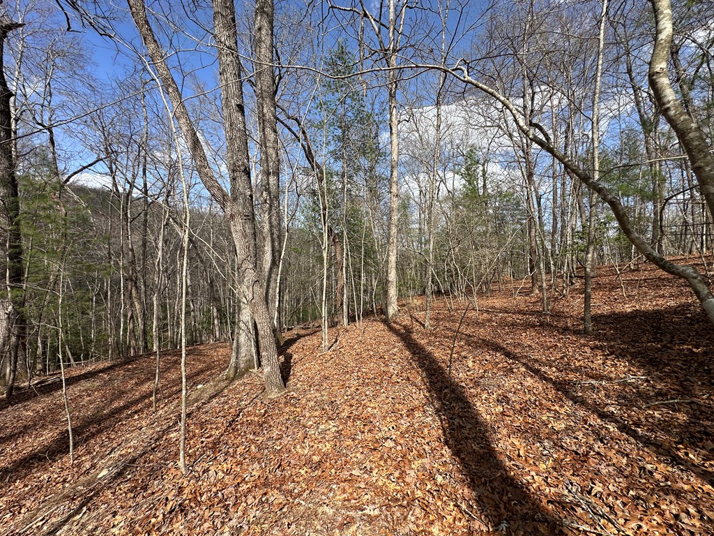 Lot 19 Black Oak Road