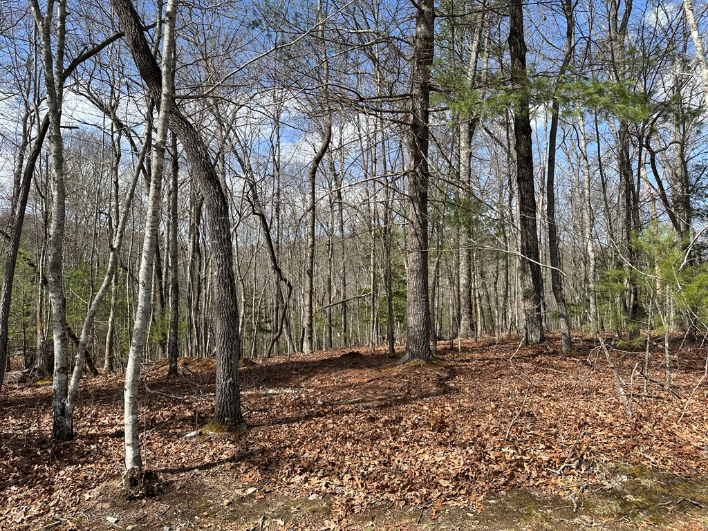 Lot 19 Black Oak Road