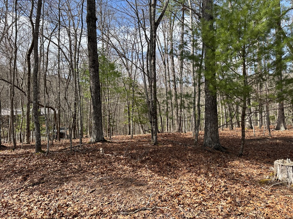 Lot 19 Black Oak Road