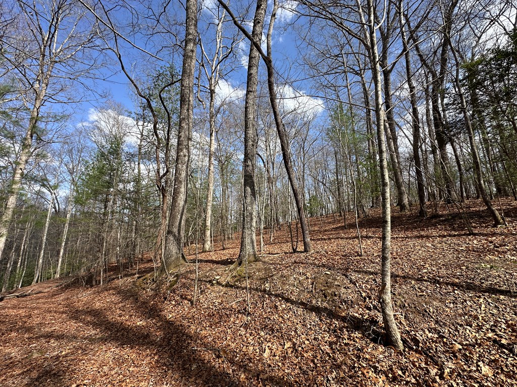 Lot 19 Black Oak Road